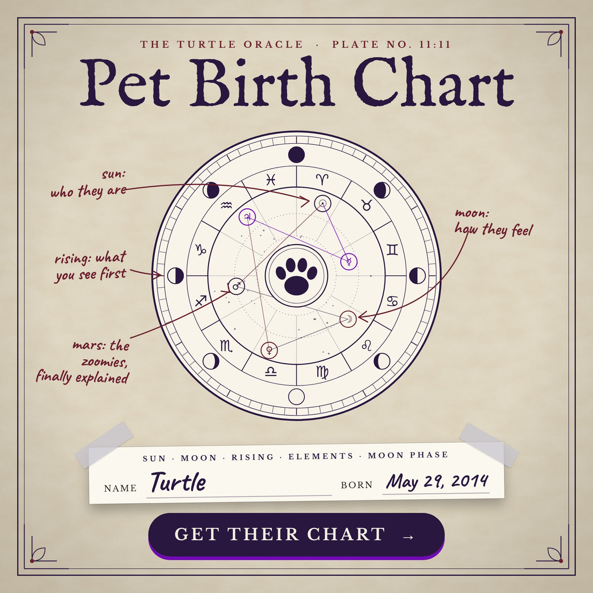 Pet Birth Chart, a personalized pet astrology reading from Turtle Oracle