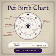 Pet Birth Chart, a personalized pet astrology reading from Turtle Oracle