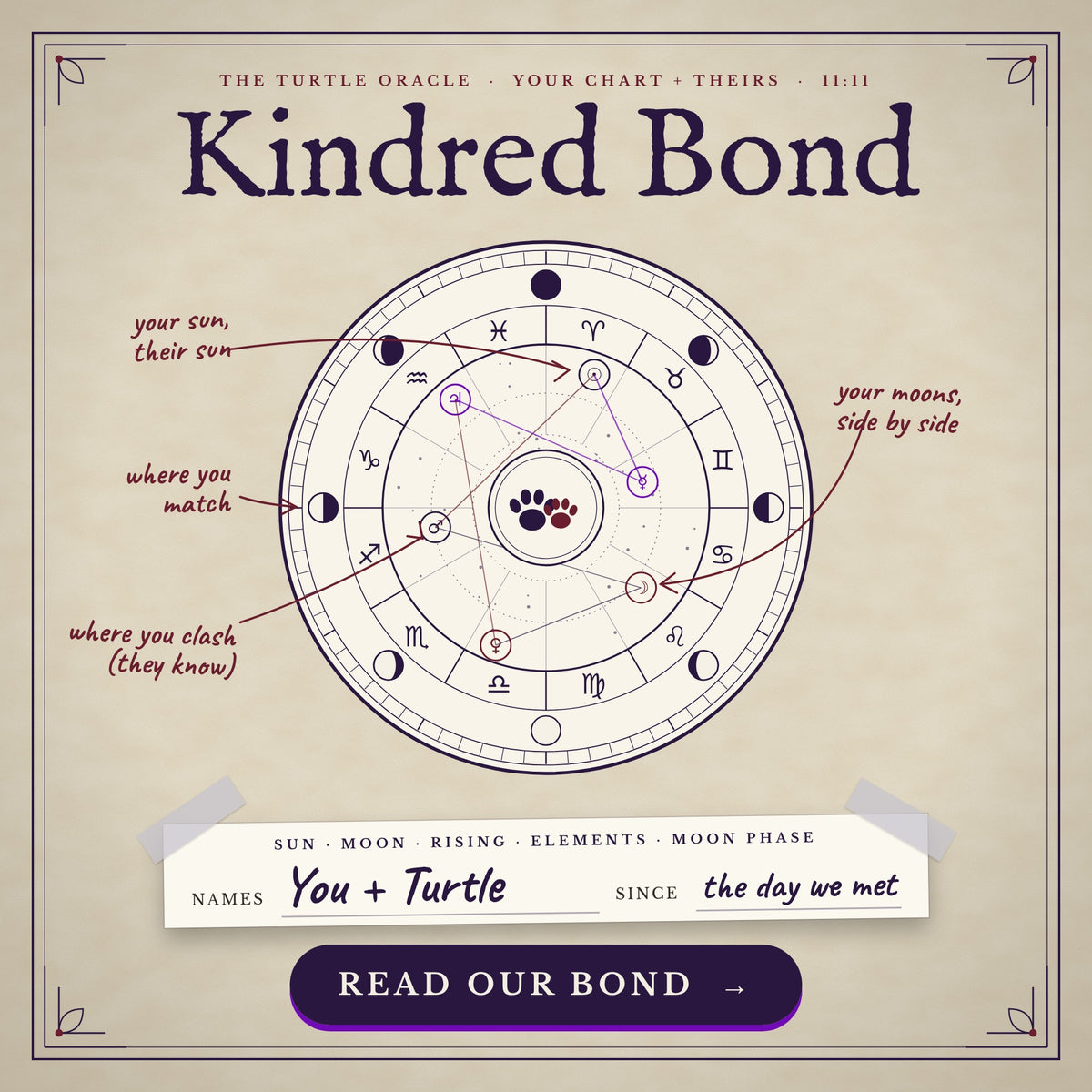 Kindred Bond, a personalized pet and person synastry astrology reading from Turtle Oracle