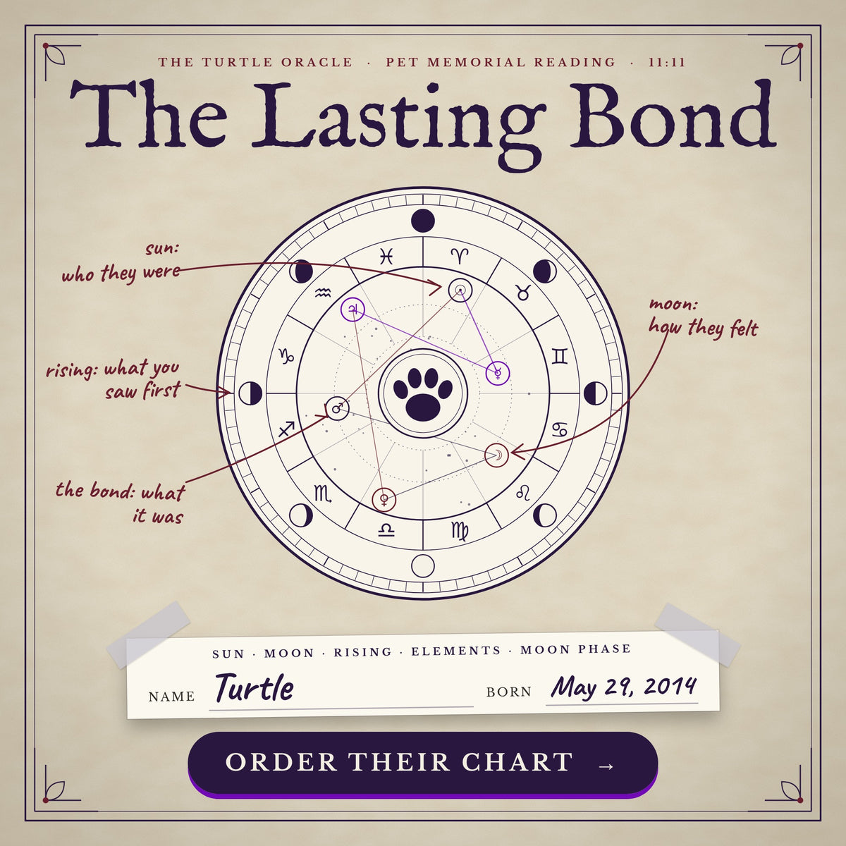 The Lasting Bond, a personalized memorial pet astrology reading from Turtle Oracle