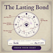The Lasting Bond, a personalized memorial pet astrology reading from Turtle Oracle