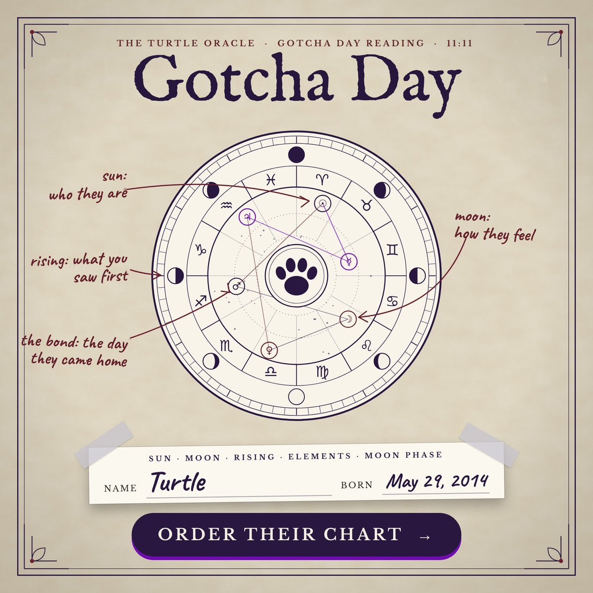 Gotcha Day Reading, a personalized pet astrology reading from Turtle Oracle