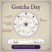Gotcha Day Reading, a personalized pet astrology reading from Turtle Oracle