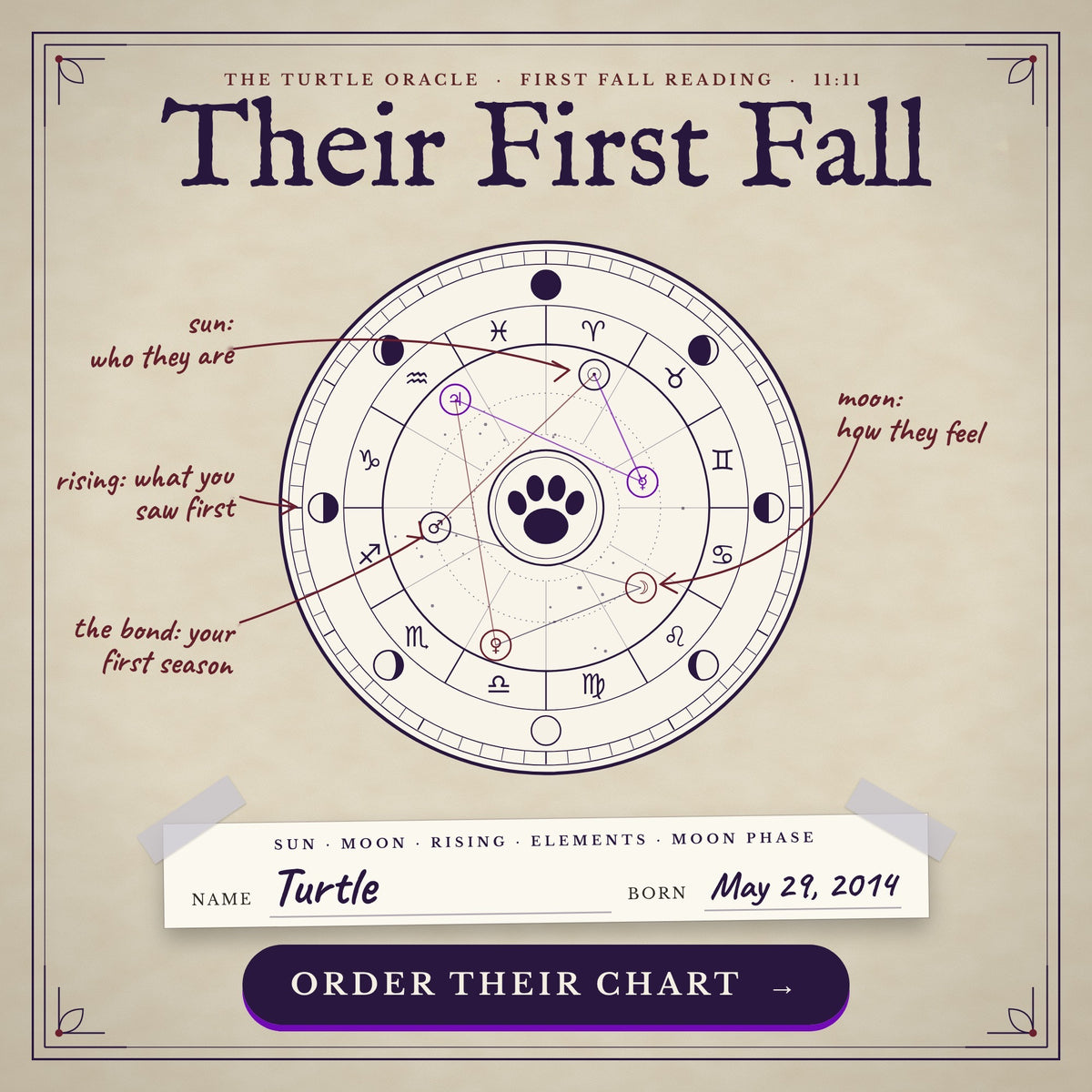 Their First Fall With You, a personalized pet astrology reading from Turtle Oracle