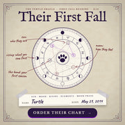 Their First Fall With You, a personalized pet astrology reading from Turtle Oracle