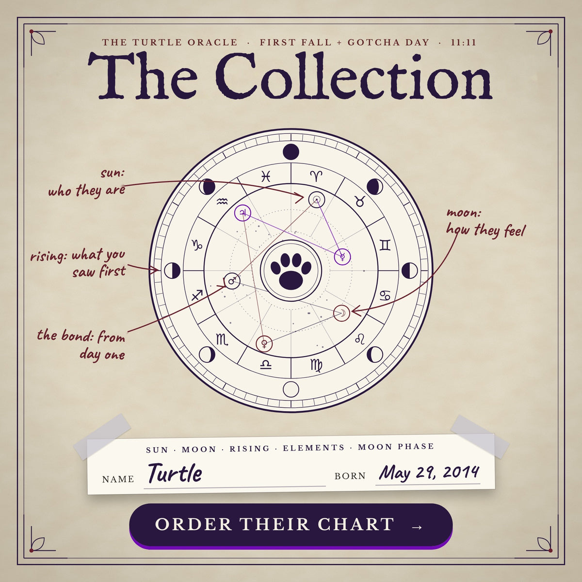 First Fall + Gotcha Day Collection, a pet astrology reading bundle from Turtle Oracle