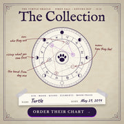 First Fall + Gotcha Day Collection, a pet astrology reading bundle from Turtle Oracle