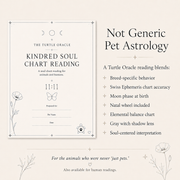 Personalized, not generic: how Turtle Oracle pet readings are written