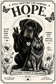 Turtle Oracle brand image