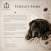 Turtle, the English Mastiff behind Turtle Oracle, and the story behind the readings