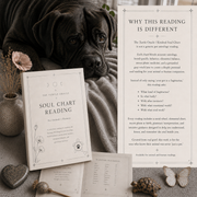 Why Turtle Oracle offers a different kind of personal astrology reading